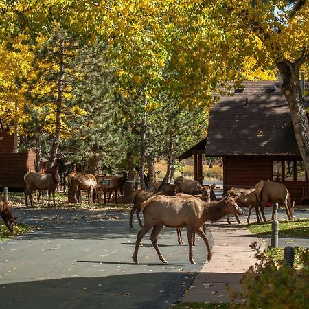 Rams Horn Village Resort 에스테스 파크 외부 사진