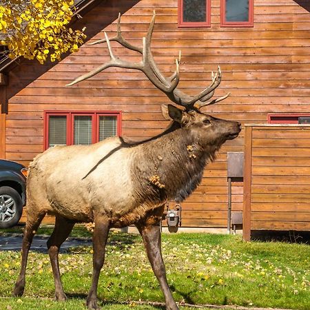 Rams Horn Village Resort 에스테스 파크 외부 사진