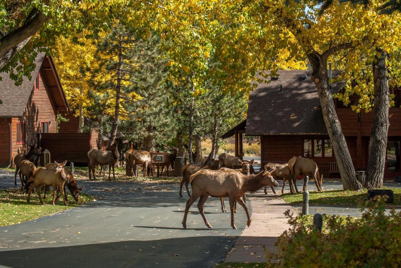 Rams Horn Village Resort 에스테스 파크 외부 사진