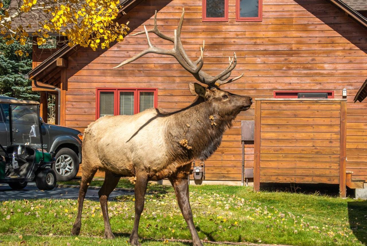 Rams Horn Village Resort 에스테스 파크 외부 사진